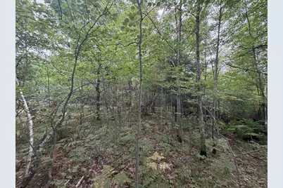 40 Ac 9th Ave Acres, Necedah, WI 54646 - Photo 4