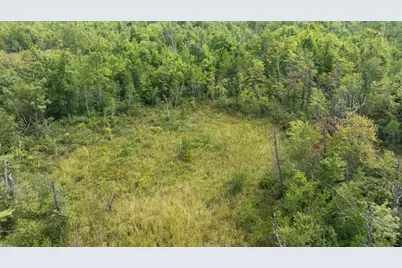 40 Ac 9th Ave Acres, Necedah, WI 54646 - Photo 8
