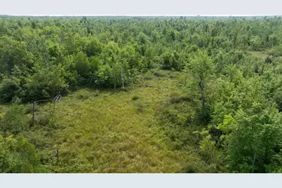 40 Ac 9th Ave Acres, Necedah, WI 54646 - Photo 10