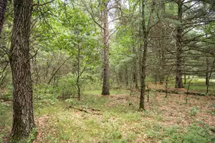 Lot 43 Morros Mile Rd, Necedah, WI 54646 - Photo 1