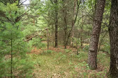 Lot 43 Morros Mile Road, Necedah, WI 54646 - Photo 8