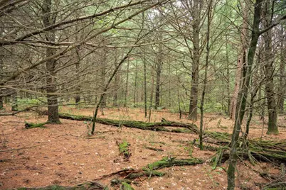 Lot 43 Morros Mile Road, Necedah, WI 54646 - Photo 20