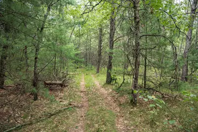 Lot 44 Morros Mile Road, Necedah, WI 54646 - Photo 6