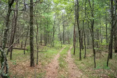 Lot 44 Morros Mile Road, Necedah, WI 54646 - Photo 8