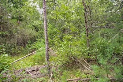 Lot 44 Morros Mile Road, Necedah, WI 54646 - Photo 14
