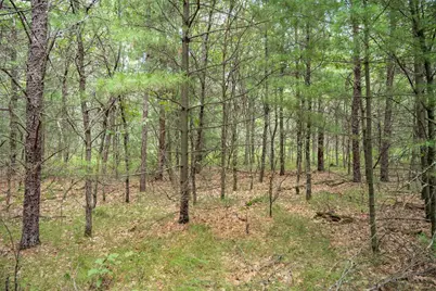 Lot 44 Morros Mile Road, Necedah, WI 54646 - Photo 1