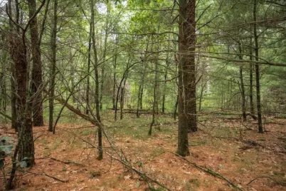 Lot 44 Morros Mile Road, Necedah, WI 54646 - Photo 2