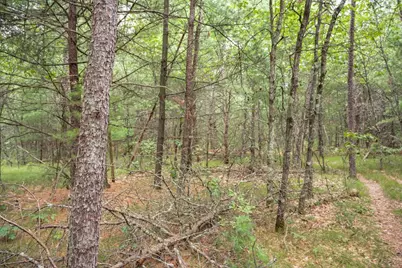 Lot 44 Morros Mile Road, Necedah, WI 54646 - Photo 10