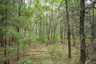 Lot 44 Morros Mile Road, Necedah, WI 54646 - Photo 4