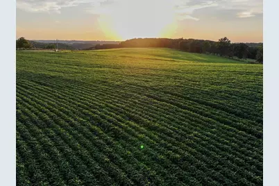 169.75� Acres Stump Ridge Road, Viroqua, WI 54665 - Photo 8