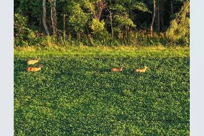 169.75� Acres Stump Ridge Road, Viroqua, WI 54665 - Photo 28