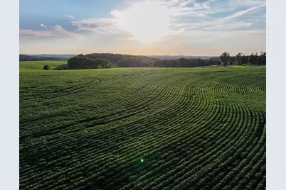 40.22� Acres Stump Ridge Road, Viroqua, WI 54665 - Photo 10