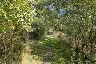 W5798 Hwy 23, Montello, WI 53949 - Photo 64