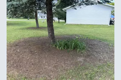 832 Ruffalo Drive, Plainfield, WI 54966 - Photo 52