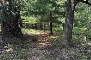 W968 Dover Rd, Neshkoro, WI 54960 - Photo 28