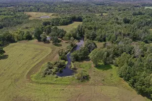 W968 Dover Rd, Neshkoro, WI 54960 - Photo 6