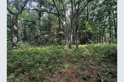 W968 Dover Road, Neshkoro, WI 54960 - Photo 24