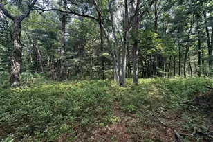 W968 Dover Rd, Neshkoro, WI 54960 - Photo 24