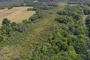 W968 Dover Rd, Neshkoro, WI 54960 - Photo 2