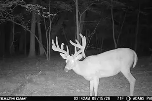Lots 3-4 Dover Dr, Adams, WI 53910 - Photo 1