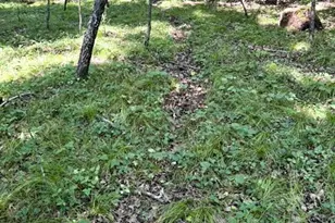N2014 13th Rd, Montello, WI 53949 - Photo 32