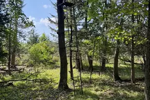 N2014 13th Rd, Montello, WI 53949 - Photo 36