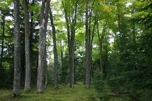 12279 Stangle Rd, Butternut, WI 54514 - Photo 26