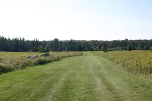 12279 Stangle Rd, Butternut, WI 54514 - Photo 18