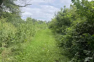 33412 County Road F, Blue River, WI 53573 - Photo 30