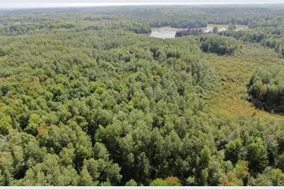 W7355 Horseshoe Lake Avenue, Milford, WI 54451 - Photo 36