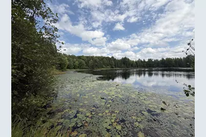 W7355 Horseshoe Lake Avenue, Milford, WI 54451 - Photo 26