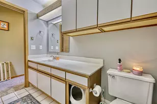 334 Amoth Ct, Madison, WI 53704 - Photo 22