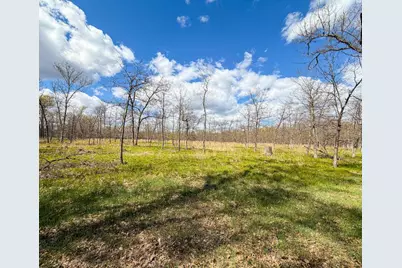 650 Cypress Avenue, Friendship, WI 53934 - Photo 66