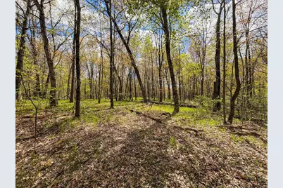 650 Cypress Avenue, Friendship, WI 53934 - Photo 54