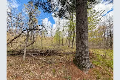 650 Cypress Avenue, Friendship, WI 53934 - Photo 74