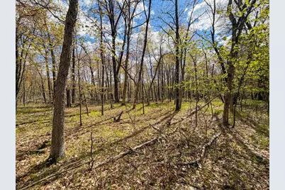 650 Cypress Avenue, Friendship, WI 53934 - Photo 56