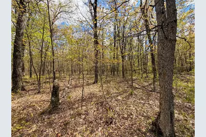 650 Cypress Avenue, Friendship, WI 53934 - Photo 52
