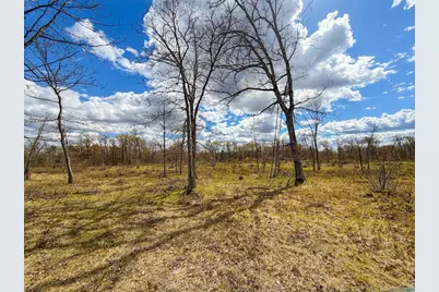 650 Cypress Avenue, Friendship, WI 53934 - Photo 72