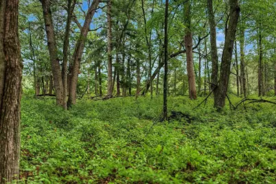 N7577 19th Road, Neshkoro, WI 54960 - Photo 62