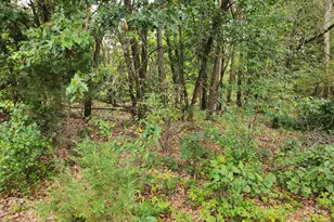 N8002 Ashley Rd Rd, Portage, WI 53901 - Photo 22