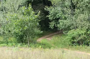 N8002 Ashley Rd Rd, Portage, WI 53901 - Photo 32