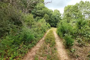 N8002 Ashley Rd Rd, Portage, WI 53901 - Photo 14