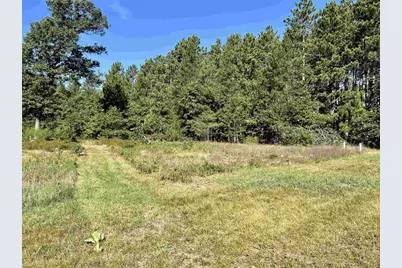 1053 Highway 13, Arkdale, WI 54613 - Photo 14
