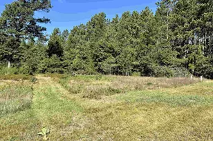 1053 Hwy 13, Arkdale, WI 54613 - Photo 14
