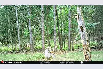 W6191 Lueck Lane, Princeton, WI 54968 - Photo 56