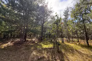 1309 Dyke Dr, Adams, WI 53910 - Photo 26