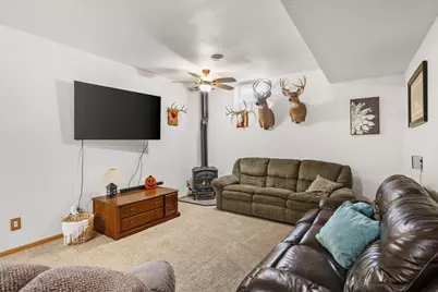 141 Shawn Avenue, Arlington, WI 53911 - Photo 40