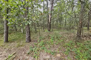 W5730 N Partridge Dr, New Lisbon, WI 53950 - Photo 8