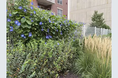 333 W Mifflin Street #3160, Madison, WI 53703 - Photo 28