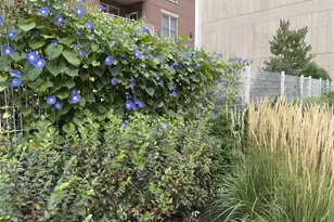 333 W Mifflin St, Madison, WI 53703 - Photo 28